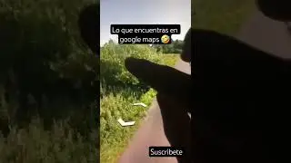 La LIEBRE voladora 🤣 #badbunny #musica #unveranosinti #amor #music #viralvideo #humor #recopilacion
