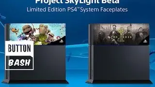 PS4 Limited Edition Faceplates