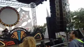 Tree of Life festival