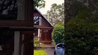Volcano 🌋 Village #bigisland #hawaii #hawaiitravelvlog #villagelife #cabin #nature #shortsfeed