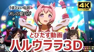 【3D VR】【ウマ娘】4K ライブシアター【#ハルウララ】うまぴょい伝説