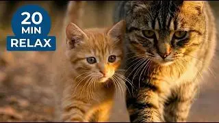 Cute Satisfying Animals Compilation | 20 Minutes of Pure Peace