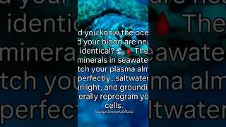 seawater, grounding, sunlight ALL REPROGRAM YOUR CELLS, GO BACK TO EDEN