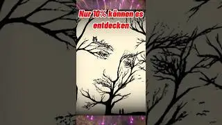 Die verr&uuml;ckteste Illusion der Welt ?(Teil 172)#short#magic #shorts#opticalillusion#mystery #artist