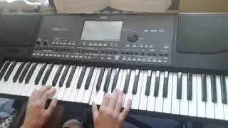 Put putuje moj jaran PA 600