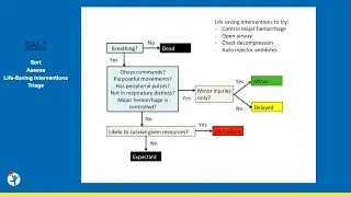 Pediatric Disaster Preparedness