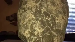 Awsome Ancient american art