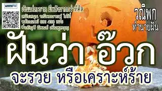 วณิพก ทำนายฝัน: ฝันเห็นอ้วก! (อาเจียนเป็นเลือด-อ้วกพยาธิ) ลางร้ายจะป่วย หรือจะรวยไม่รู้ตัว?