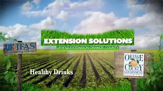 Extension Solutions | Healthy Drinks
