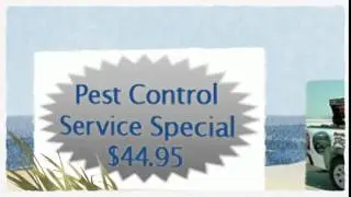 Pest Management Insect Control Dallas TX 214-504-2875 Ameritech