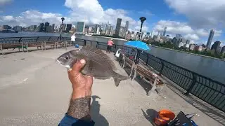 Porgy fishing at  Long Island City  7/20/2025