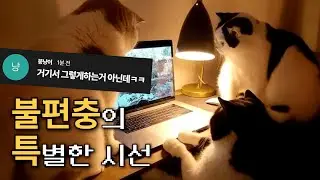 재능의 발견