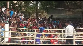 DU Sec. | Sports Quota Admission - Boxing | 2017