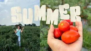 Exam time | Farm vlog | Best place to hang out in Dimapur 📍CTSquare