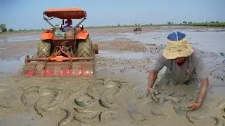 Best The Tractor Fishing in Dry Season - Awesome Fishing Video 2020 - Catch Copper Fish & Catfish