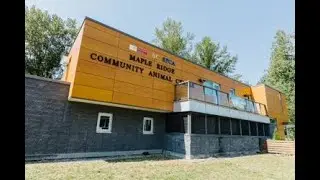 BC SPCA Maple Ridge Feature