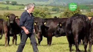 Sustainable Farming Supply Chains