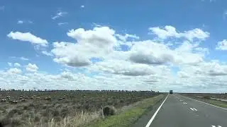 Mid-Western Highway: A sheep 🐑 crosses the road.