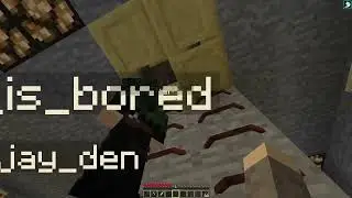 RandomcraftSMP Opening Day