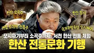 모시짜기부터 소곡주까지, 서천 한산 전통 체험! 한산 전통문화 기행 | 테마기행 길 | 26년 1월 30일