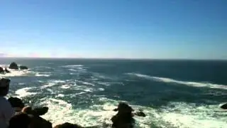 Whale watching @ Bodega Bay