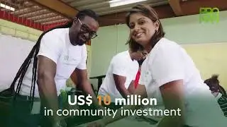 The Morning Brew on CNC3