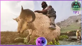 Is This The BEST Start EVER!? | Ark Survival Ascended: Ragnar&ouml;k [EP1]