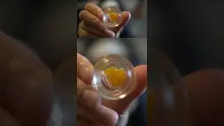 Terp sugar