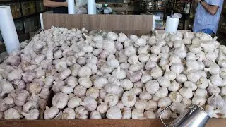 CEASA de MACEIÓ ALAGOAS TEM de TUDO  PARTE. 2 🫚🧅🍋🥭😍 😃