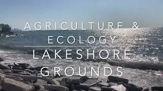 Section 1: Introduction