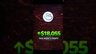 На этой неделе я заработал 18 055 долларов, торгуя в сети Zebec (вот доказательство) ZBCN