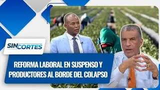 Reforma laboral en vilo, crisis agrícola y oro en San Juan.