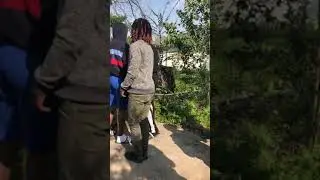 Dice Game Gone Wrong (@officialducc_)