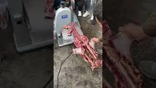 This is What Pros Use to Cut Meat Full Demo! #ProKitchen #ButcherMachine #KitchenDemo #FoodieTools