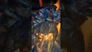 Tribal style hole Chicken 🍗 roasting #tribal #viral #trending #shorts