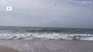 Dänemark. Holmsland Klit