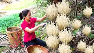 Harvesting 1000 + Kg White Coral Mushroom In Forest Goes To Market Sell, Traditional Cook Mushroom