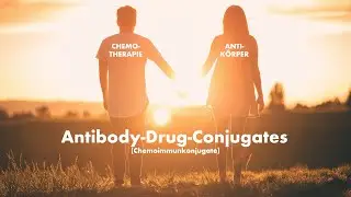 Krebstherapie: Moderne Krebstherapie - Antibody Drug Conjugates (Chemoimmunkonjugate)
