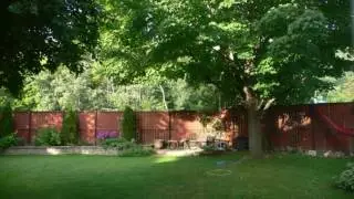 1817 Garden Season Timelapse