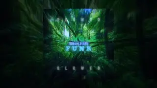 JUNGLE FUNK (Slowed + Reverb)