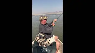 Clark Canyon Reservoir Fly Fishing