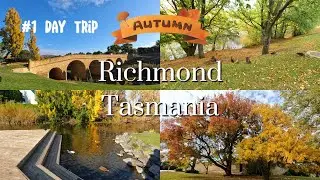 1 Day Trip From Hobart to Richmond, Tasmania. By Bus - เที่ยวเมืองเก่าใกล้โฮบาร์ตแบบประหยัดงบ