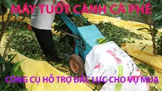 coffee stripping machine: fast and effective harvesting solution