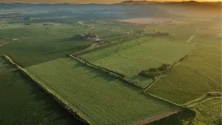 For Sale | Rackway Farms, a Premier North Burnett Cropping Aggregation