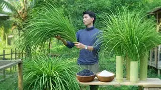 A Calm Morning Turning Grass into Pure Salt | Simple Village Living.