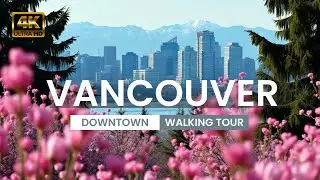 🇨🇦 [4K] Vancouver Seawall & Cherry Blossom | British Columbia Walking Tour | Canada