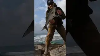 pesca anjova spinning #fishing #parati #lurefishing #fish #viral #viralvideo #foryou #pesca