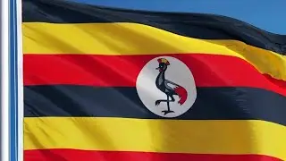 What makes Uganda cranes    the worst  performing  team in the AFCON 2025?