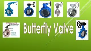 Butterfly Valve