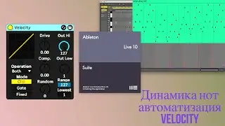 Ableton Live - Динамика нот, автоматизация velocity.
